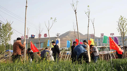 开泰人在植树 开泰人在植树